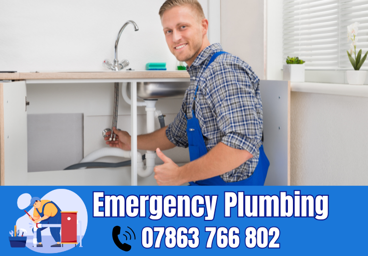  plumber Broad Oak