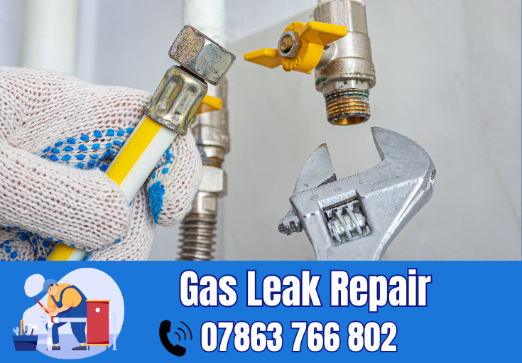 gas leak repair Earlestown