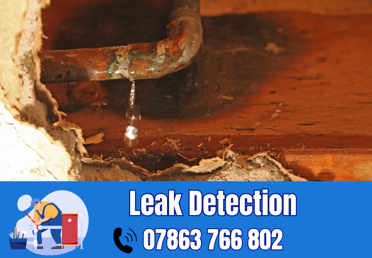 leak detection Earlestown