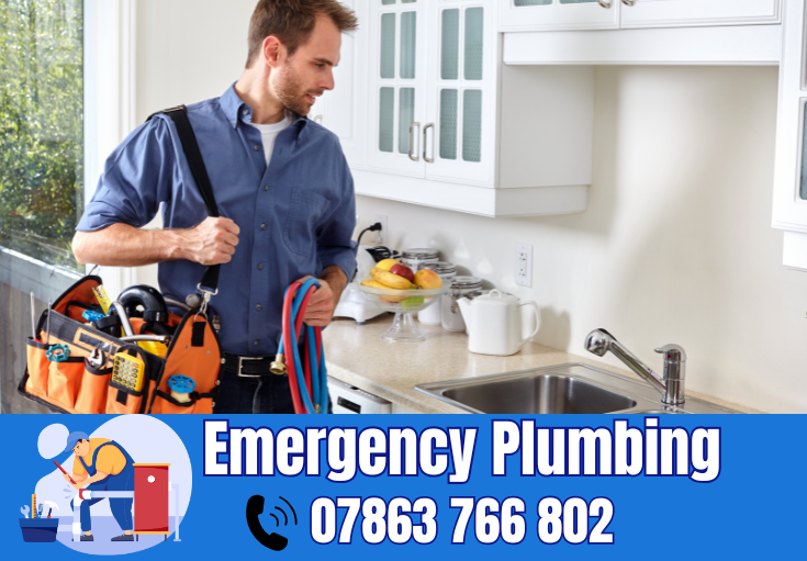  plumber Sankey Bridges