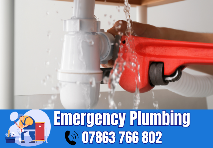  plumber Vulcan Village