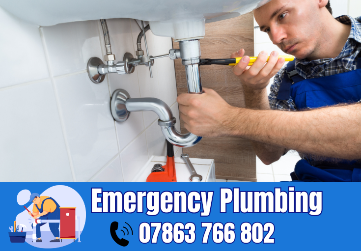  plumber Collins Green