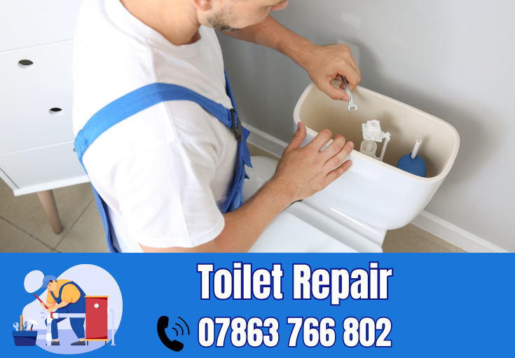 toilet repair Earlestown